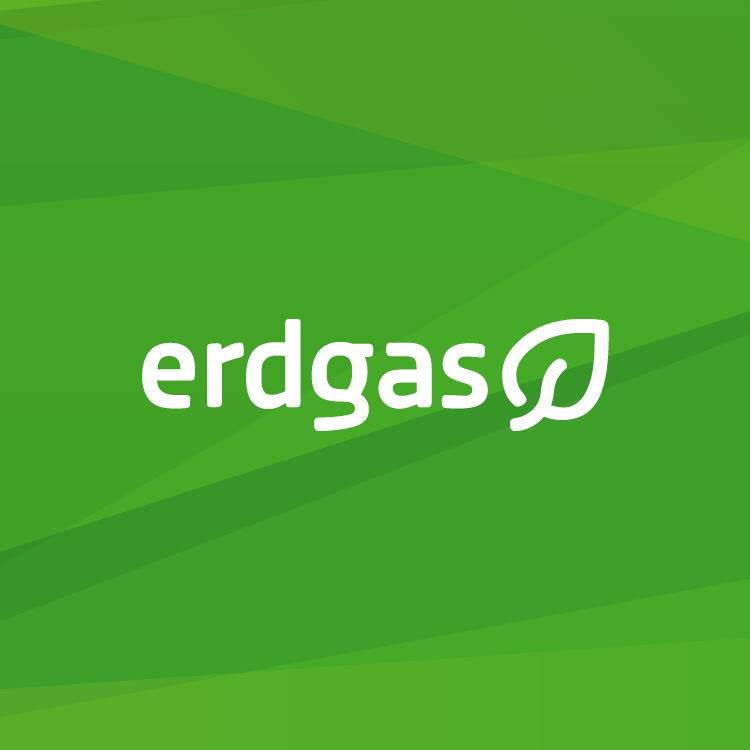 Erdgas-Logo Weiß auf Pattern